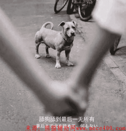 点击查看原图 20200329125643.png